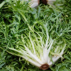 Endive - buy fresh fruit and vegetables online Malta