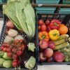 Family Box - Buy fresh fruit and vegetables online Malta