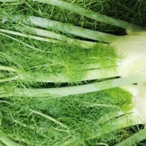Fennel - Buy fresh fruit and vegetables online Malta