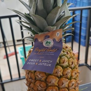 Pineapple Perfect Gold - Buy fresh fruit and vegetables online Malta