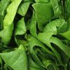 Spinach - Buy fresh fruit and vegetables online Malta