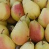 Angel Pears - Buy fresh fruit and vegetables online Malta