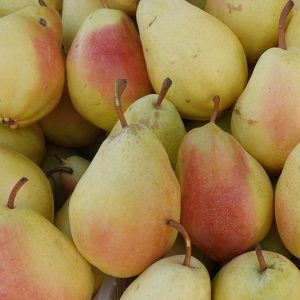 Angel Pears - Buy fresh fruit and vegetables online Malta