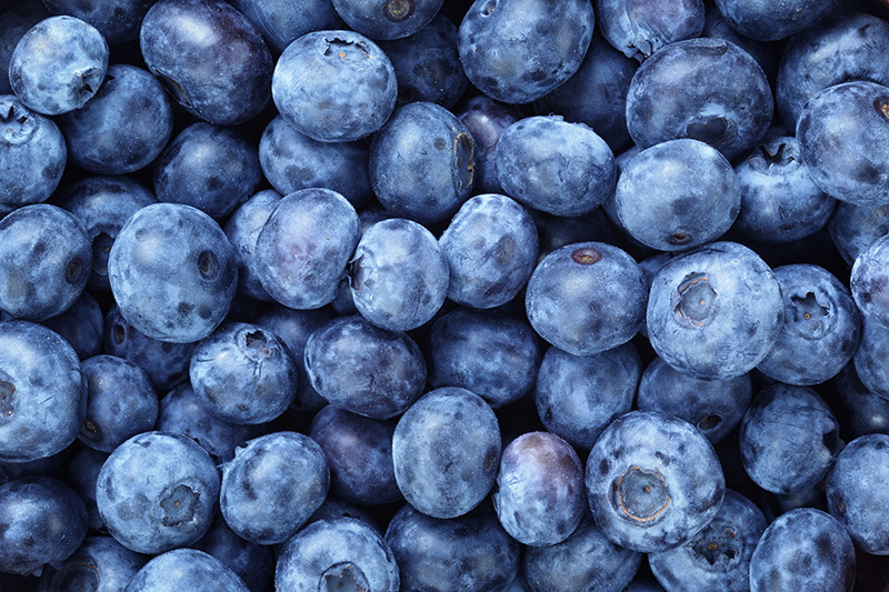 Blueberries - Buy fresh fruit and vegetables online Malta