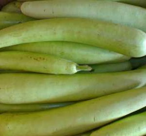 Gourd - Buy fresh fruit and vegetables online Malta