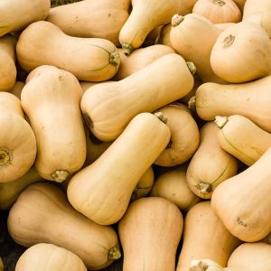 Butternut Squash - Buy fresh fruit and vegetables online Malta