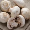 Mushrooms - Buy fresh fruit and vegetables online Malta