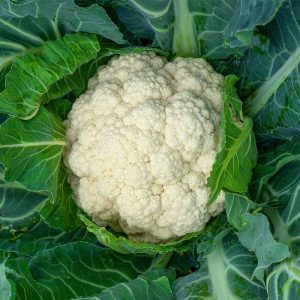 Cauliflower buy fresh fruit and vegetables online Malta