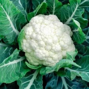 Cauliflower - Buy fresh fruit and vegetables online Malta