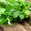 Coriander - Buy fresh fruit and vegetables online Malta