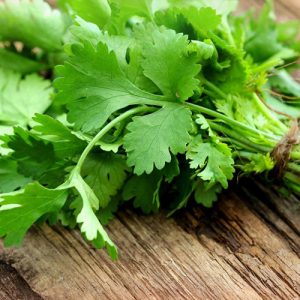 Coriander - Buy fresh fruit and vegetables online Malta