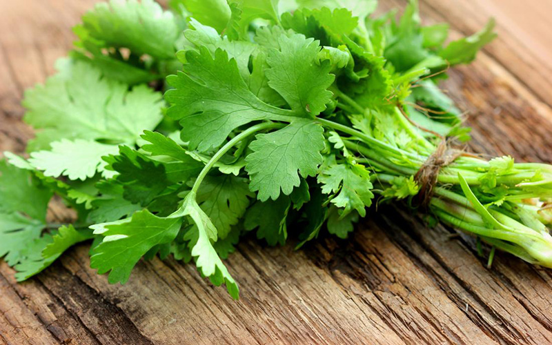 Coriander - Buy fresh fruit and vegetables online Malta