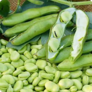 Fava Beans - Ful - Buy fresh fruit and vegetables online Malta