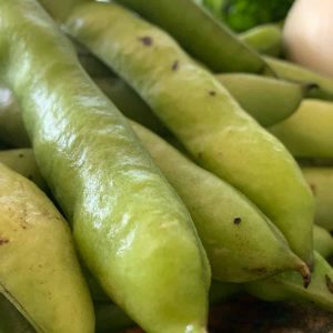 Fava Beans - Ful - Buy fresh fruit and vegetables online Malta