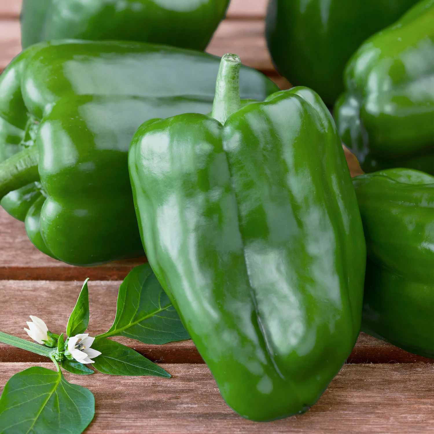 Green Bell Peppers - Buy fresh fruit and vegetables online Malta