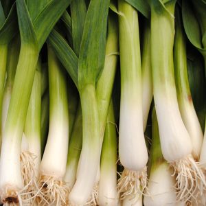 Fresh Garlic - Buy fresh fruit and vegetables online Malta