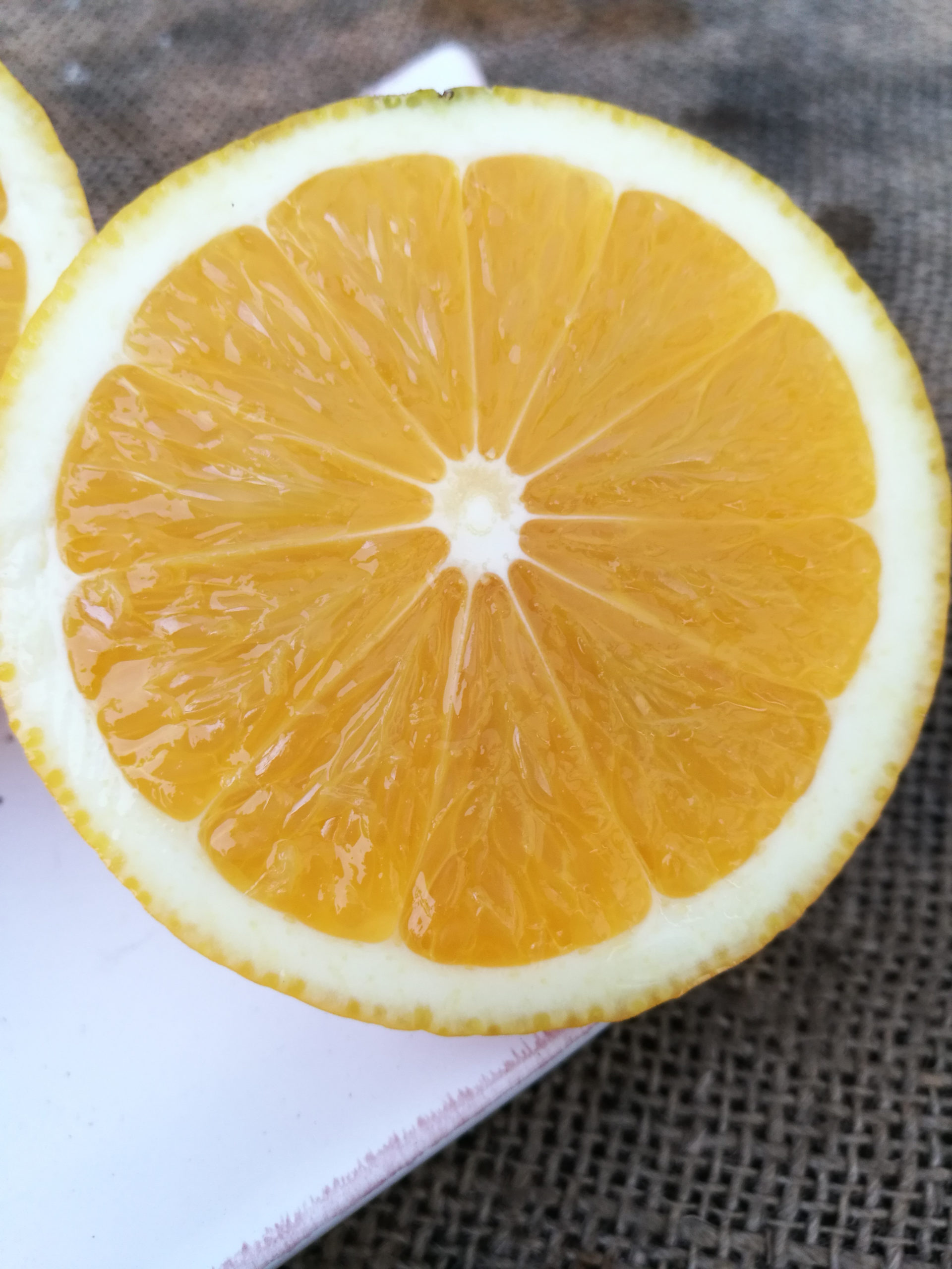 Lemon Orange - Buy fresh fruit and vegetables online Malta