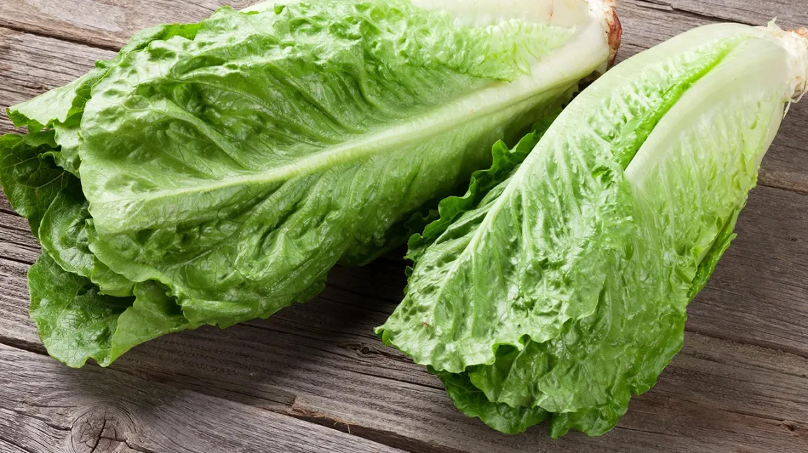 Long Leaf Lettuce - Buy fresh fruit and vegetables online Malta