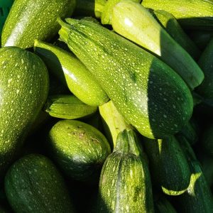 Long Marrows - Buy fresh fruit and vegetables online Malta