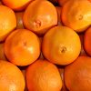 Navel Oranges - Buy fresh fruit and vegetables online Malta