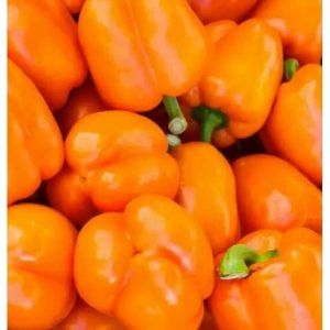 Orange Bell Peppers - Buy fresh fruit and vegetables online Malta