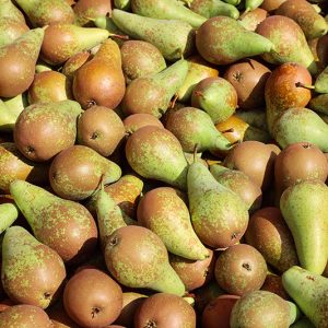 Abate Pears - Buy fresh fruit and vegetables online Malta