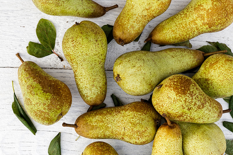Abate Pears - Buy fresh fruit and vegetables online Malta