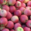Pink Lady Apples -Buy fresh fruit and vegetables online Malta