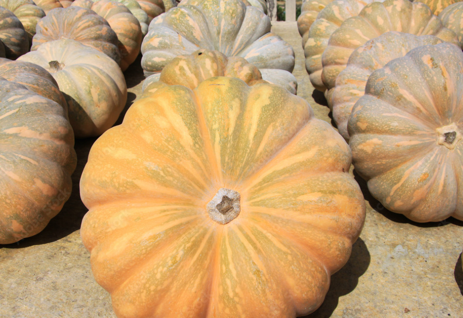 Pumpkin - Buy fresh fruit and vegetables online Malta