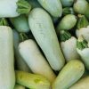 Marrows - Buy fresh fruit and vegetables online Malta