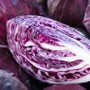 Red Cabbage - Buy fresh fruit and vegetables online Malta