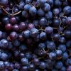 Red Grapes - Buy fresh fruit and vegetables online Malta