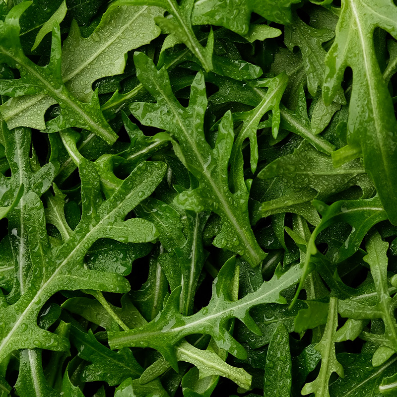 Rucola - Buy fresh fruit and vegetables online Malta