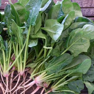 Spinach - Buy fresh fruit and vegetables online Malta