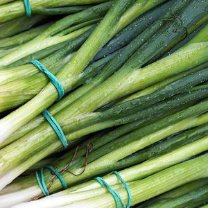 Spring Onions - Buy fresh fruit and vegetables online Malta