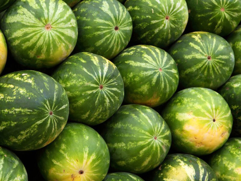 Watermelon - Buy fresh fruit and vegetables online Malta