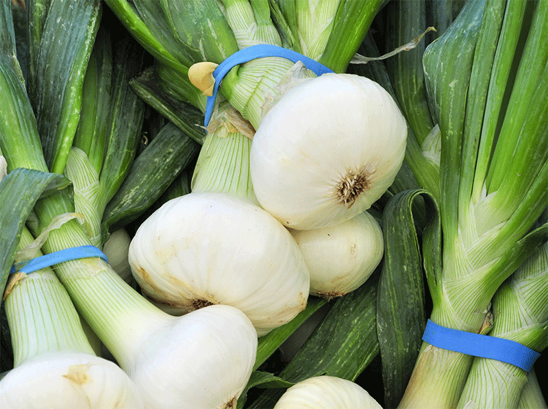 White Onions - Buy fresh fruit and vegetables online Malta
