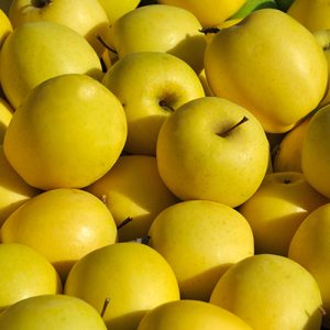 Yellow Apples -Buy fresh fruit and vegetables online Malta