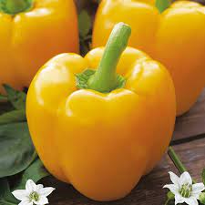 Yellow Bell Peppers - Buy fresh fruit and vegetables online Malta