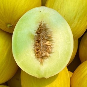 Yellow Melons - Buy fresh fruit and vegetables online Malta