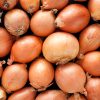 Brown - Yellow Onions - Buy fresh fruit and vegetables online Malta