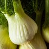 Fennel - Buy fresh fruit and vegetables online Malta