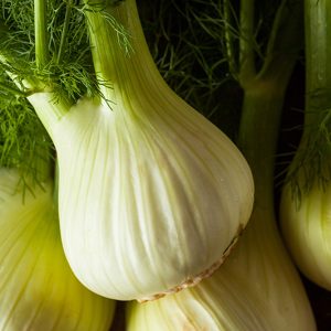 Fennel - Buy fresh fruit and vegetables online Malta